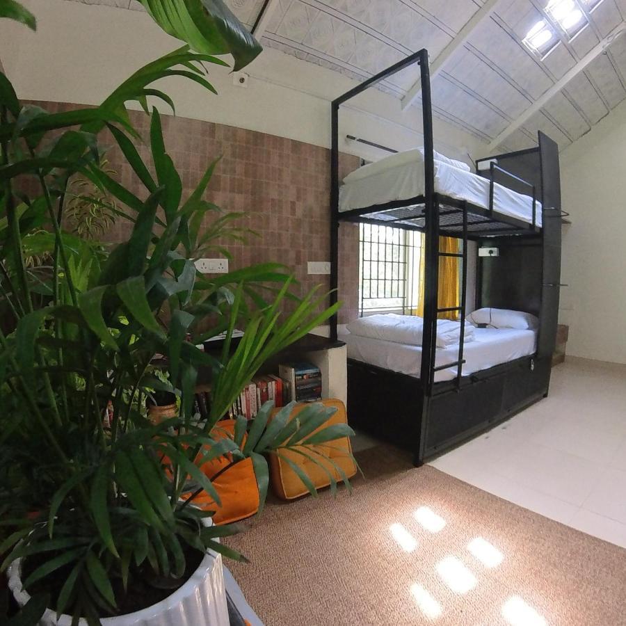 Benomadic Eco Hostel, Madikeri, Coorg Suntikoppa Zewnętrze zdjęcie