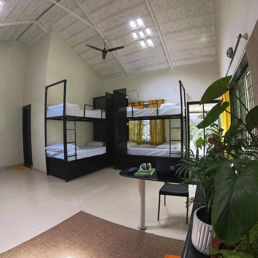 Benomadic Eco Hostel, Madikeri, Coorg Suntikoppa Zewnętrze zdjęcie