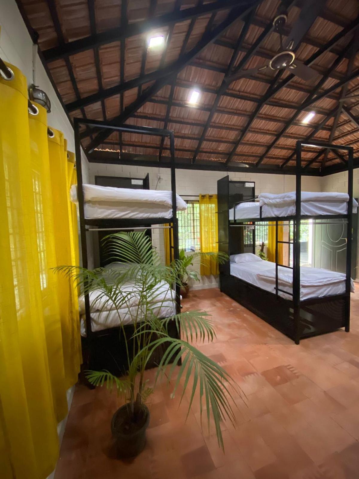 Benomadic Eco Hostel, Madikeri, Coorg Suntikoppa Zewnętrze zdjęcie