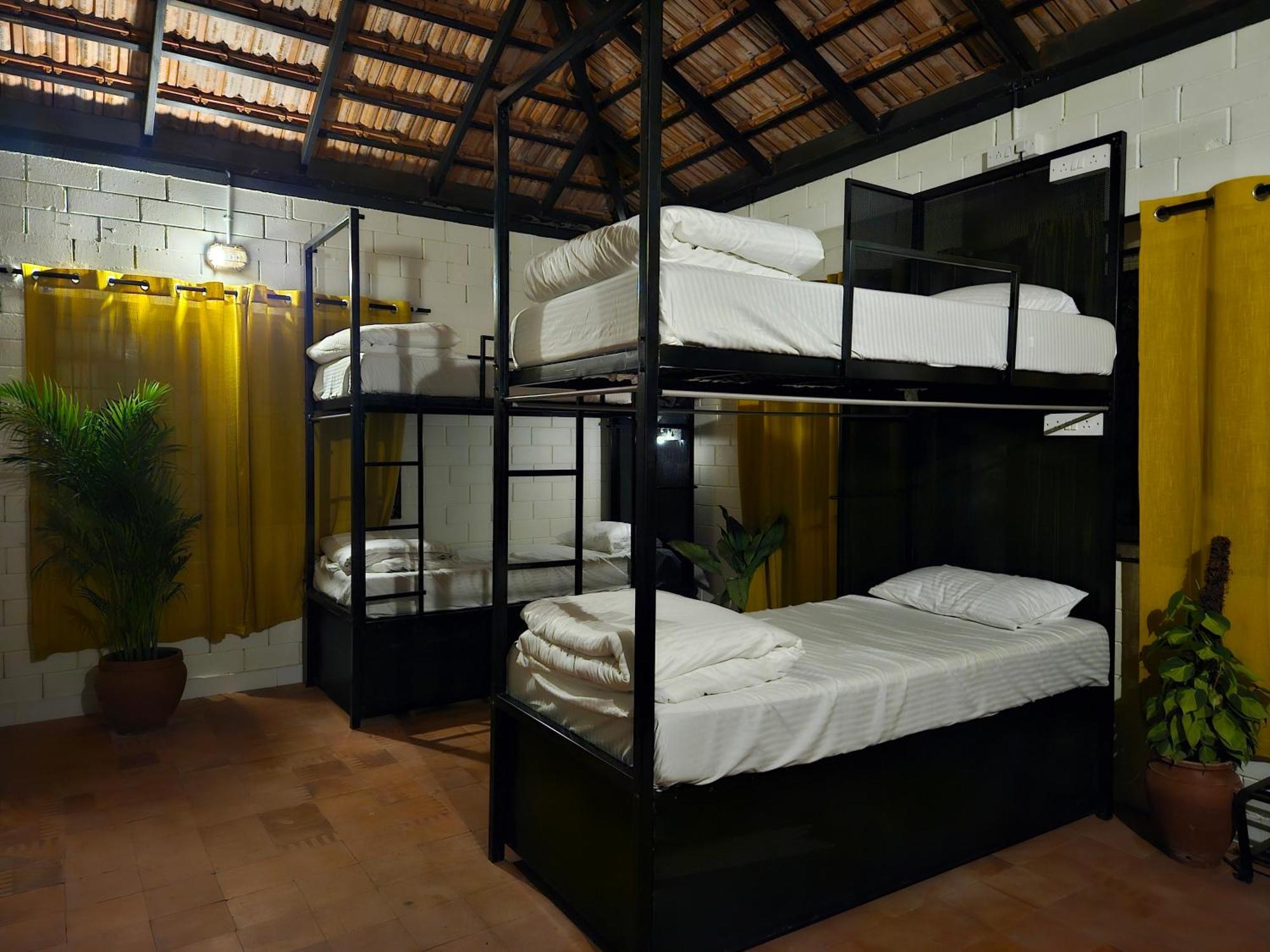 Benomadic Eco Hostel, Madikeri, Coorg Suntikoppa Zewnętrze zdjęcie