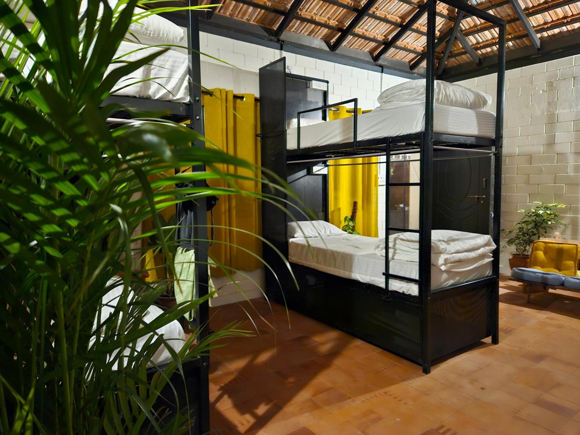 Benomadic Eco Hostel, Madikeri, Coorg Suntikoppa Zewnętrze zdjęcie
