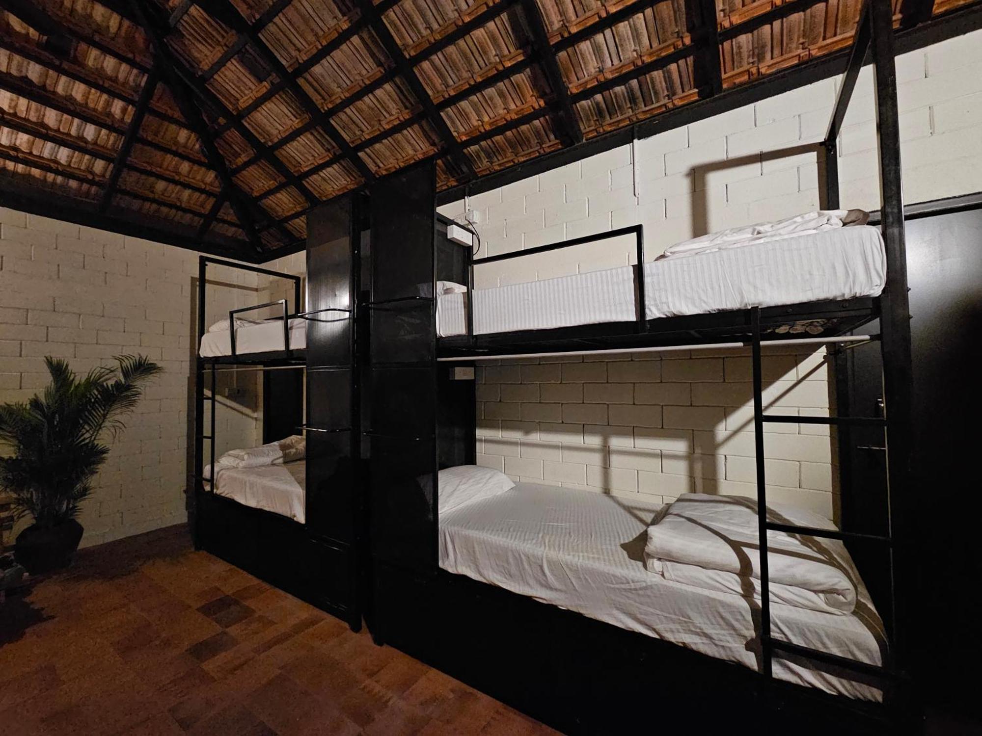Benomadic Eco Hostel, Madikeri, Coorg Suntikoppa Zewnętrze zdjęcie